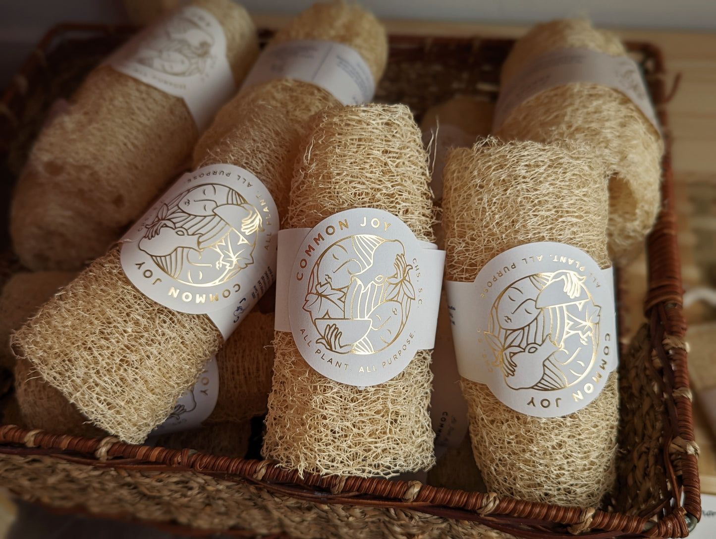 Common Joy Luffa